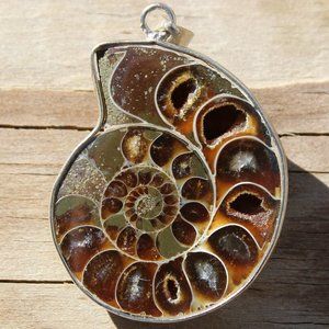 Ammonite Fossil Pendant, Sliced with waxed leather cord